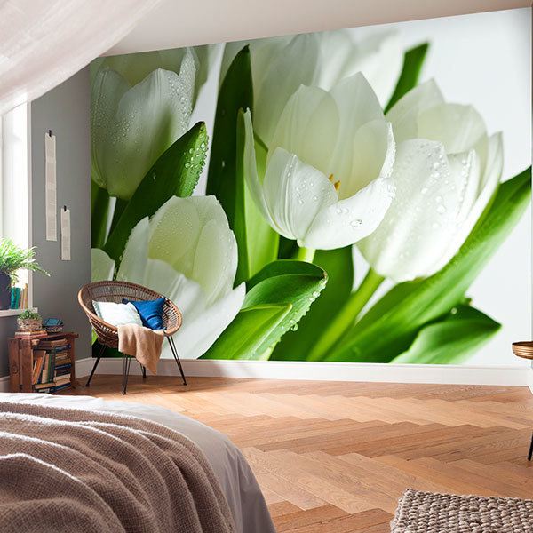 Poster xxl: Tulipes blanches 0