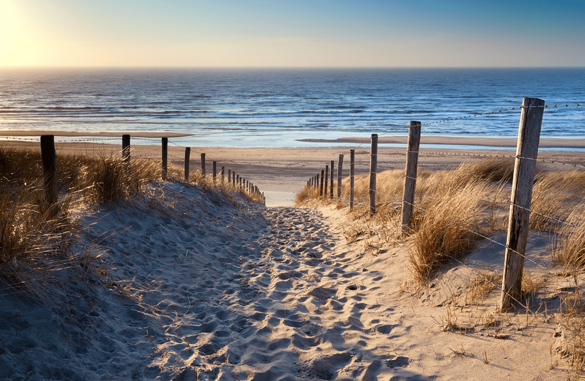 Poster xxl: Sur le chemin de la plage