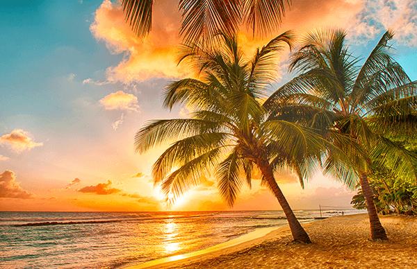 Poster xxl: Plage Hawaïenne