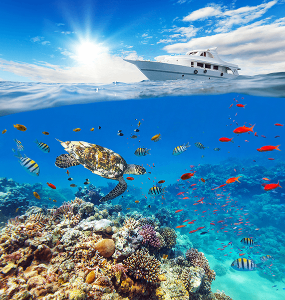 Poster xxl: Yacht naviguant sur coraux
