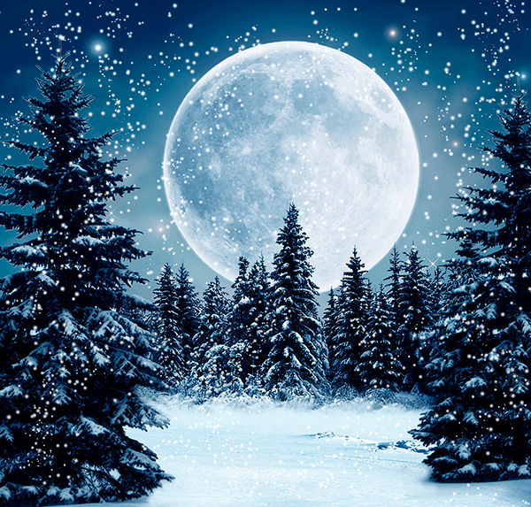 Poster xxl: Lune sur la forêt enneigée