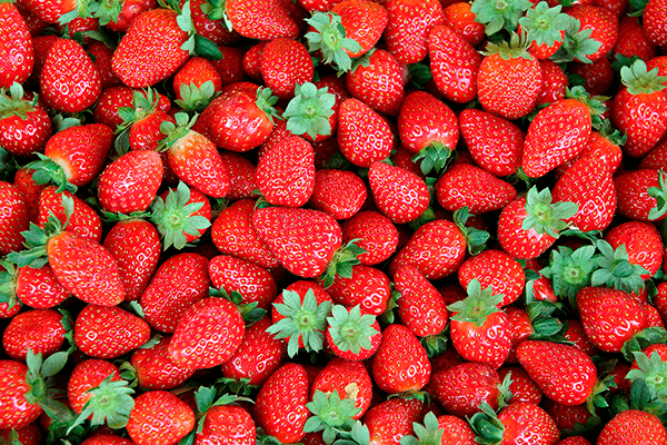 Poster xxl: Fraises
