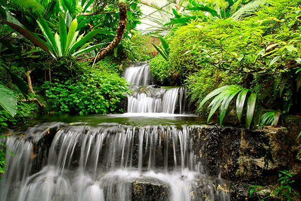 Poster xxl: Cascades dans le jardin tropical