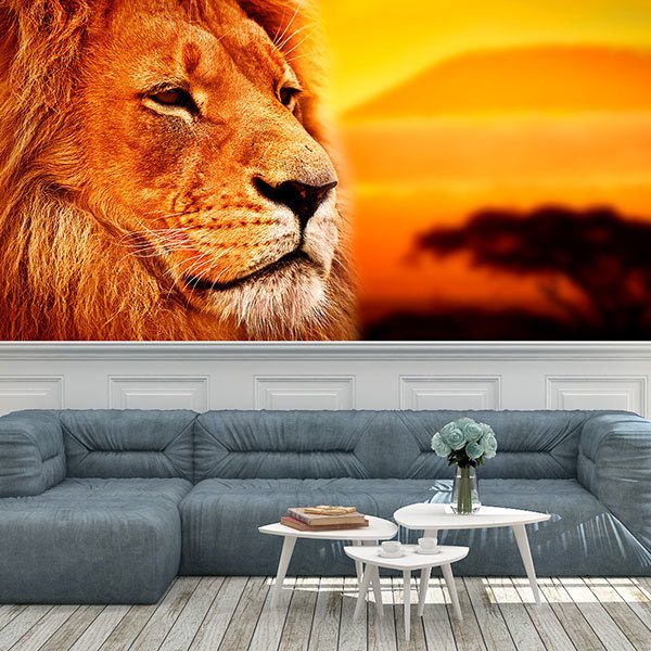 Poster xxl: Lion d'Afrique Panoramique