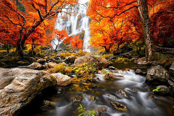 Poster xxl: Cascade en automne