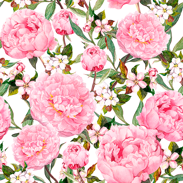 Poster xxl: Pivoines à l'aquarelle