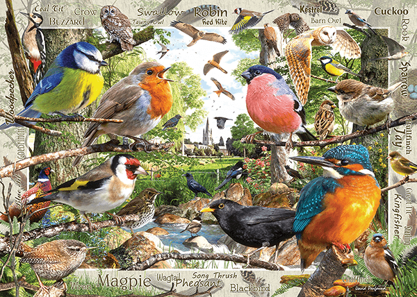 Poster xxl: Catalogue Oiseaux