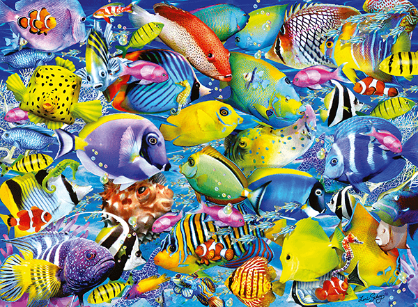 Poster xxl: Collecte de poissons colorés