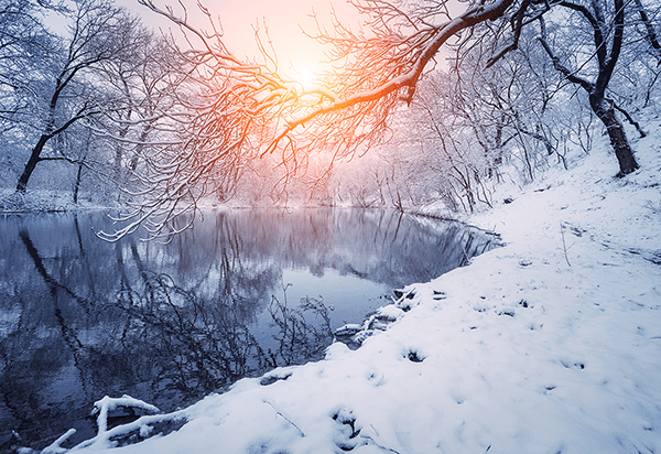 Poster xxl: L'aube en hiver