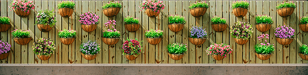 Poster xxl: Mur avec pots de fleurs