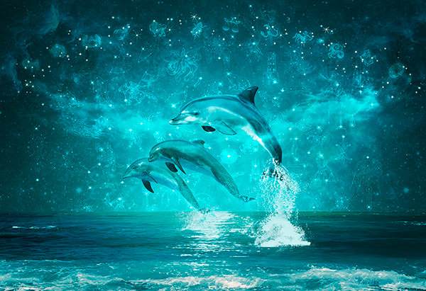 Poster xxl: Dauphins et constellations