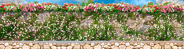 Poster xxl: Mur avec des fleurs