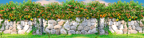 Poster xxl: Mur de fleurs