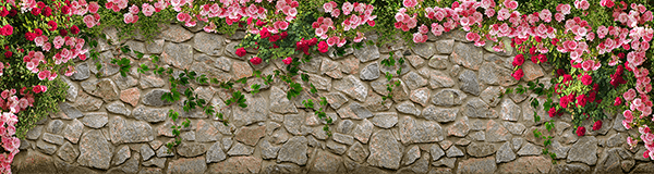 Poster xxl: Mur de roses
