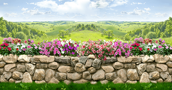 Poster xxl: Le mur de fleurs