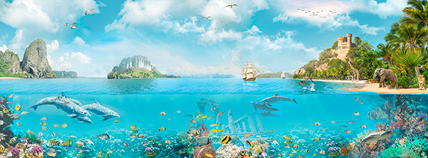 Poster xxl: Faune marine