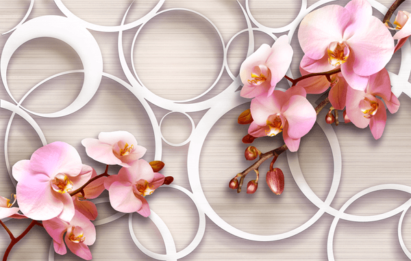 Poster xxl: Orchidées roses