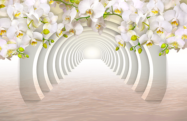 Poster xxl: Orchidées blanches