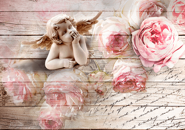 Poster xxl: L'ange des roses