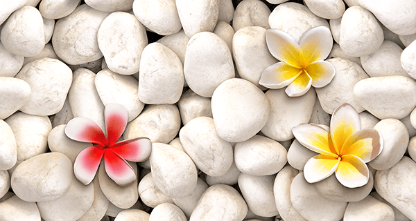 Poster xxl: Lilium sur pierres