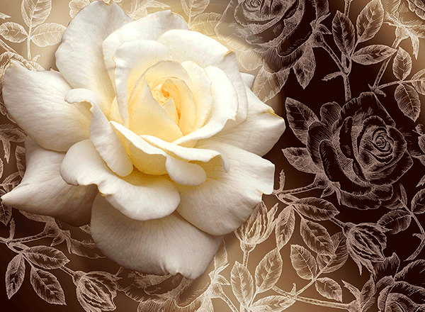 Poster xxl: Rose Pascali