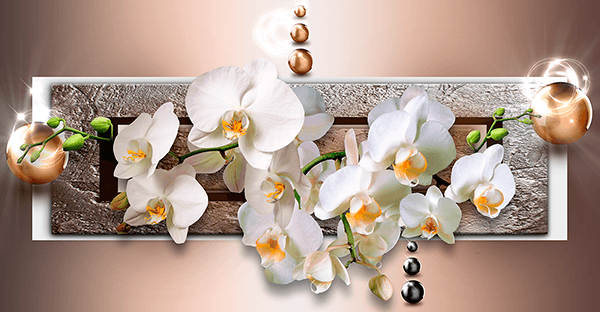 Poster xxl: Orchidées derrière la boîte aux lettres