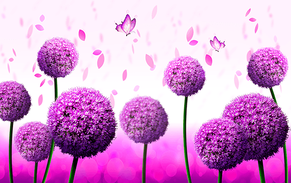 Poster xxl: Fleur d'ail