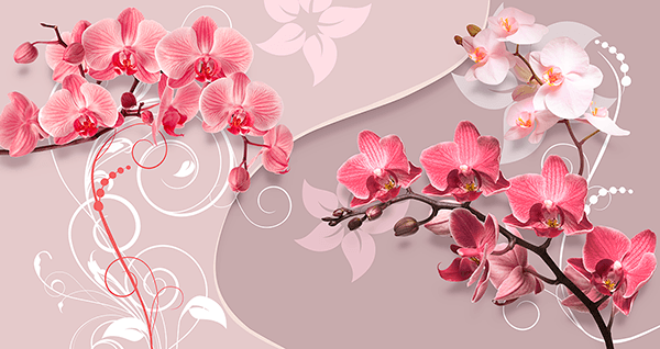 Poster xxl: Orchidées Yin et Yang
