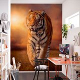 Poster xxl: Tigre 2