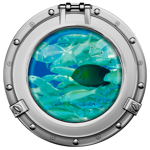 Stickers muraux: Banc de poisson 2