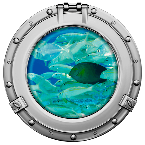 Stickers muraux: Banc de poisson