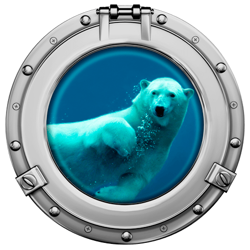 Stickers muraux: Hublot ours polaire nageant
