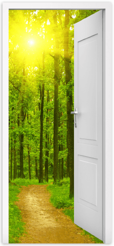 Stickers muraux: Porte ouverte chemin dans les bois