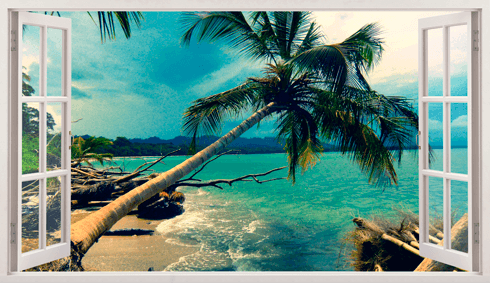 Stickers muraux: Panorama Palm sur la plage 1