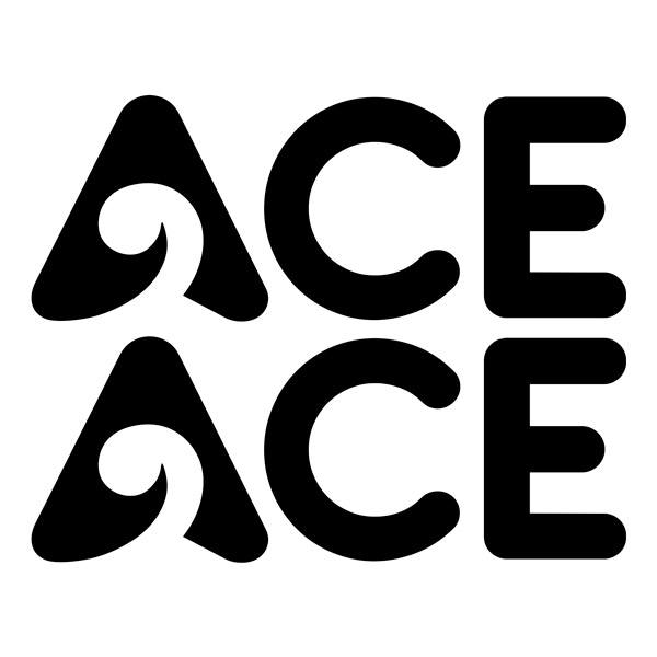 Stickers camping-car: Autocollants pour Camping-Car Ace - Lot de Deux Pi
