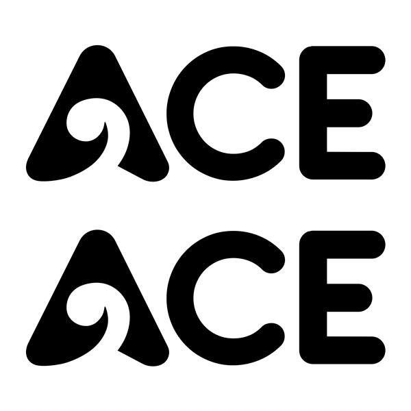 Stickers camping-car: Autocollant vinyle ACE 25x10 cm