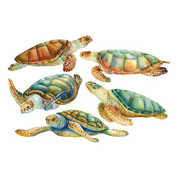 Stickers muraux: Famille de la Tortue