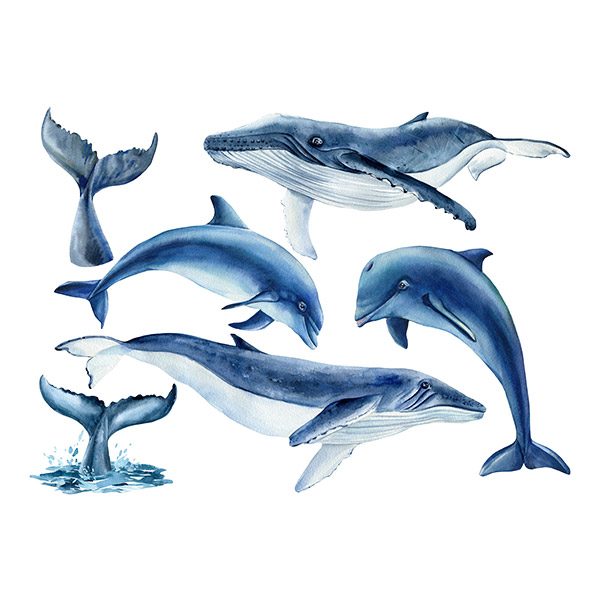 Stickers pour enfants: Baleines et Dauphins