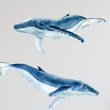 Stickers pour enfants: Baleines et Dauphins 5