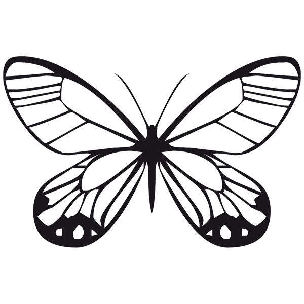 Stickers muraux: Papillon Tatochila femelle