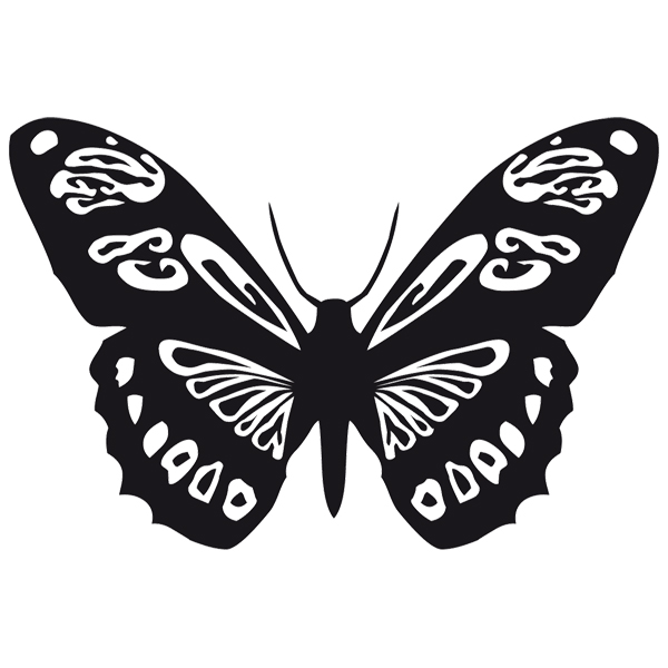 Stickers muraux: Papillon Colias Vauthieri