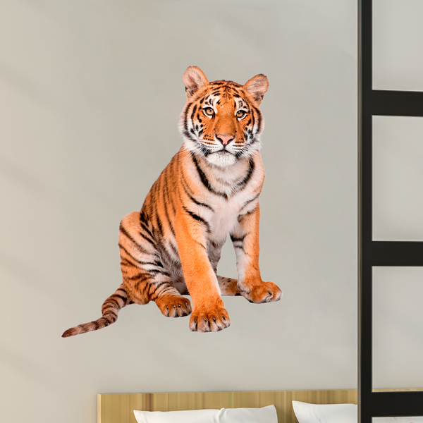 Stickers muraux: Jeune tigre de Sibérie