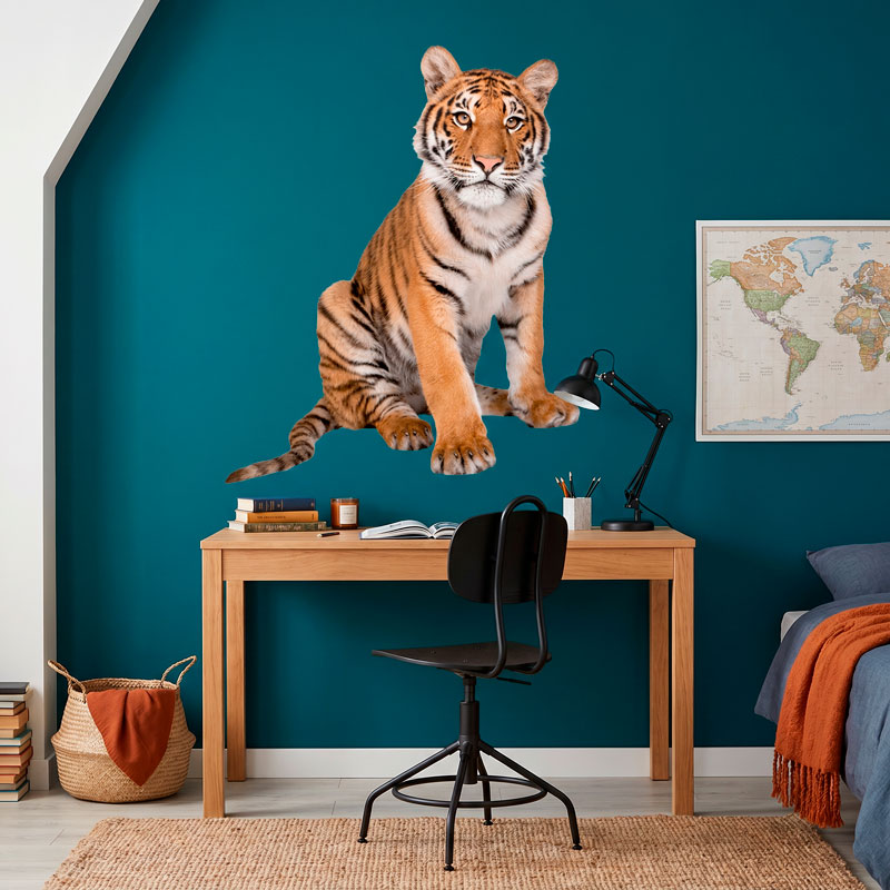 Jeune tigre de Sib&eacute;rie 5/10