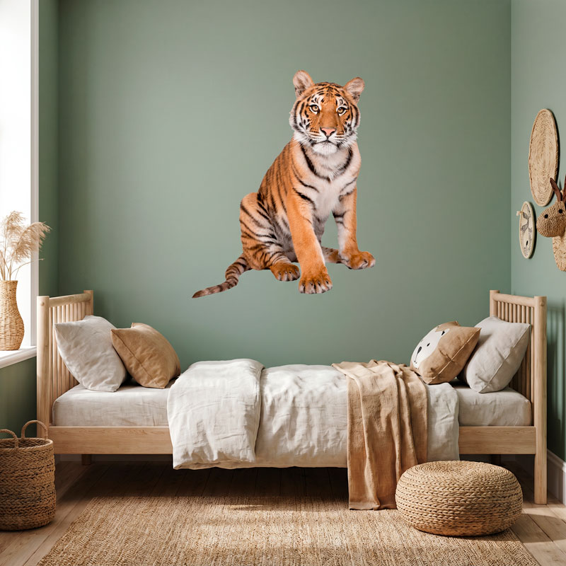 Jeune tigre de Sib&eacute;rie 6/10