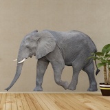 Stickers muraux: Éléphant marche 3