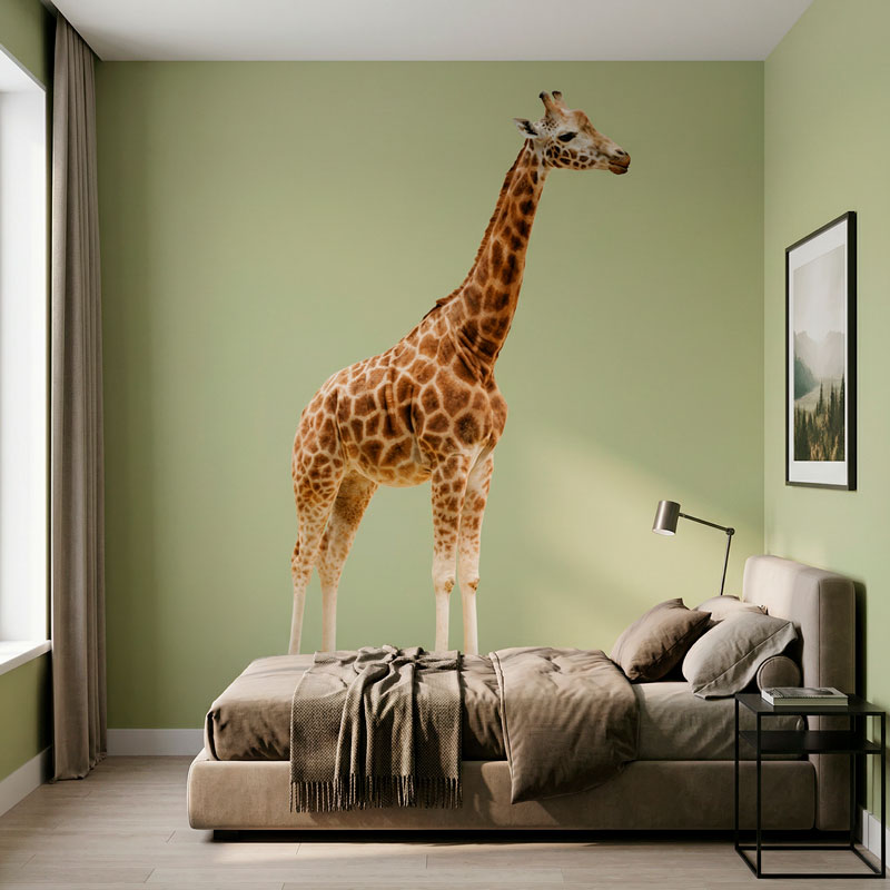 Corps entier de la girafe 5