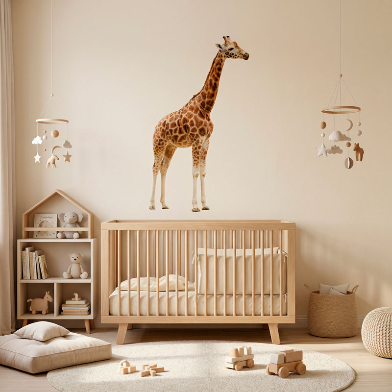 Corps entier de la girafe 6
