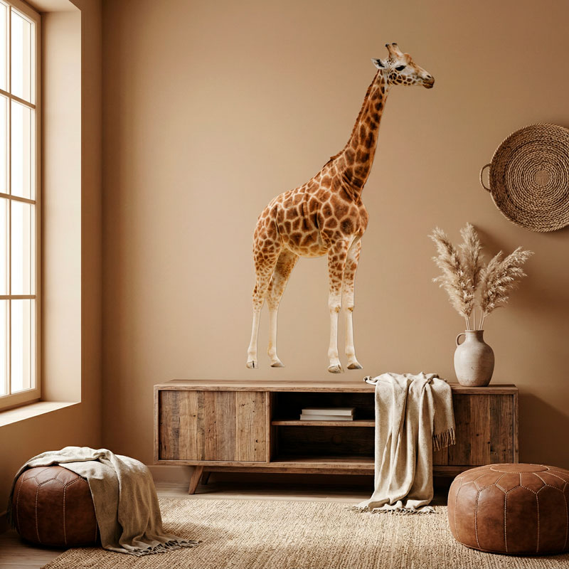 Corps entier de la girafe 7
