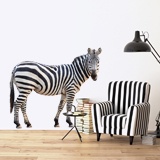 Stickers muraux: Zebra vigilant 3