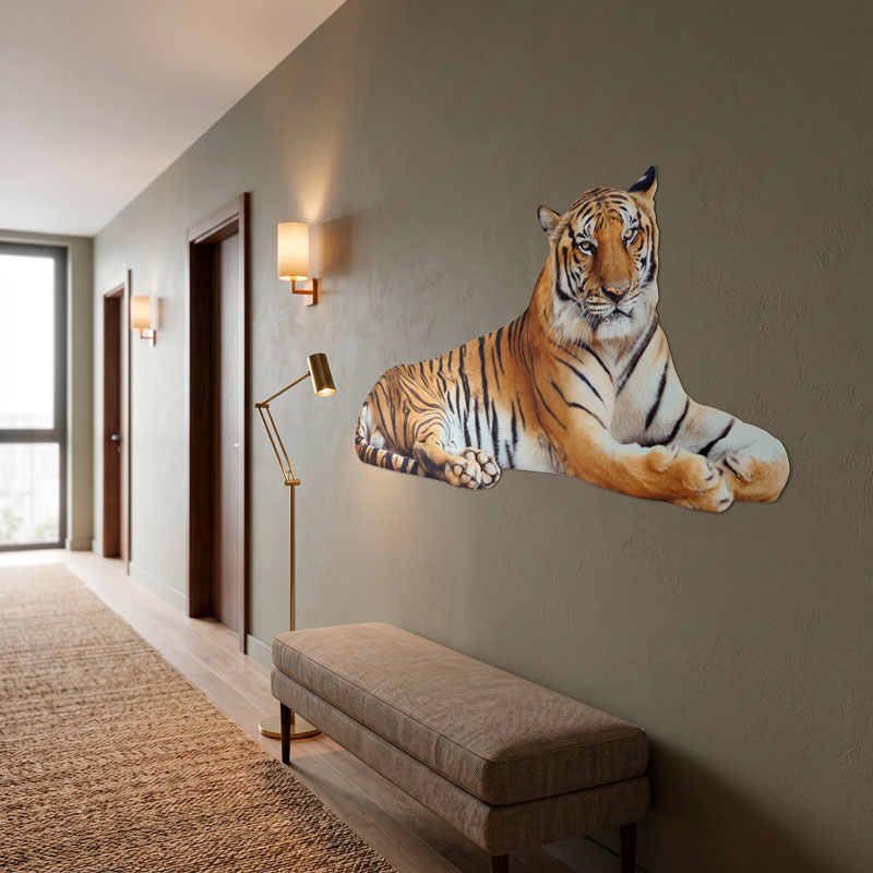 Tigre d&eacute;tendu 4/6